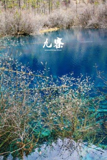鹰击长空2