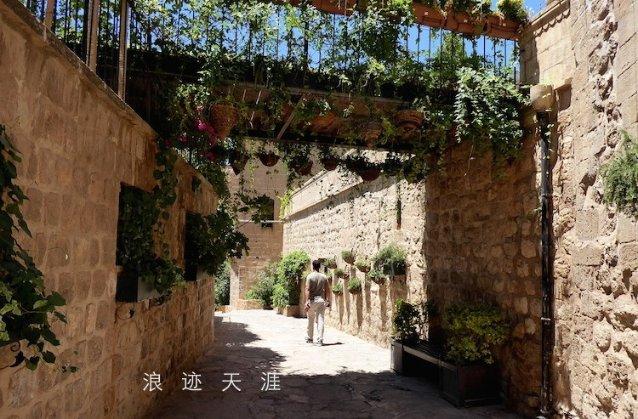 这是蒲公英吗？游戏画面