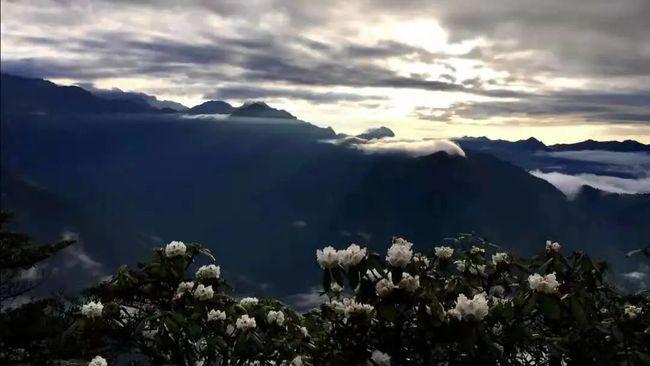 绘真·妙笔千山