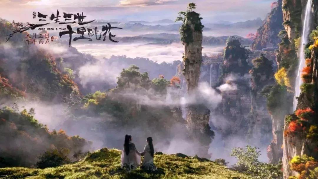 本科学历免考护师-专业知识星球平台