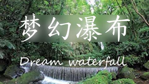 逃离幽灵之林