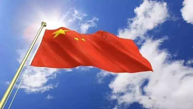 营救小猫头鹰