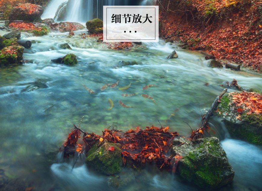 寒冬腊月赶工忙,这份养肝宝典请收好!